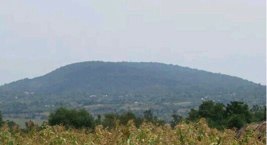 Got Ramogi Hill